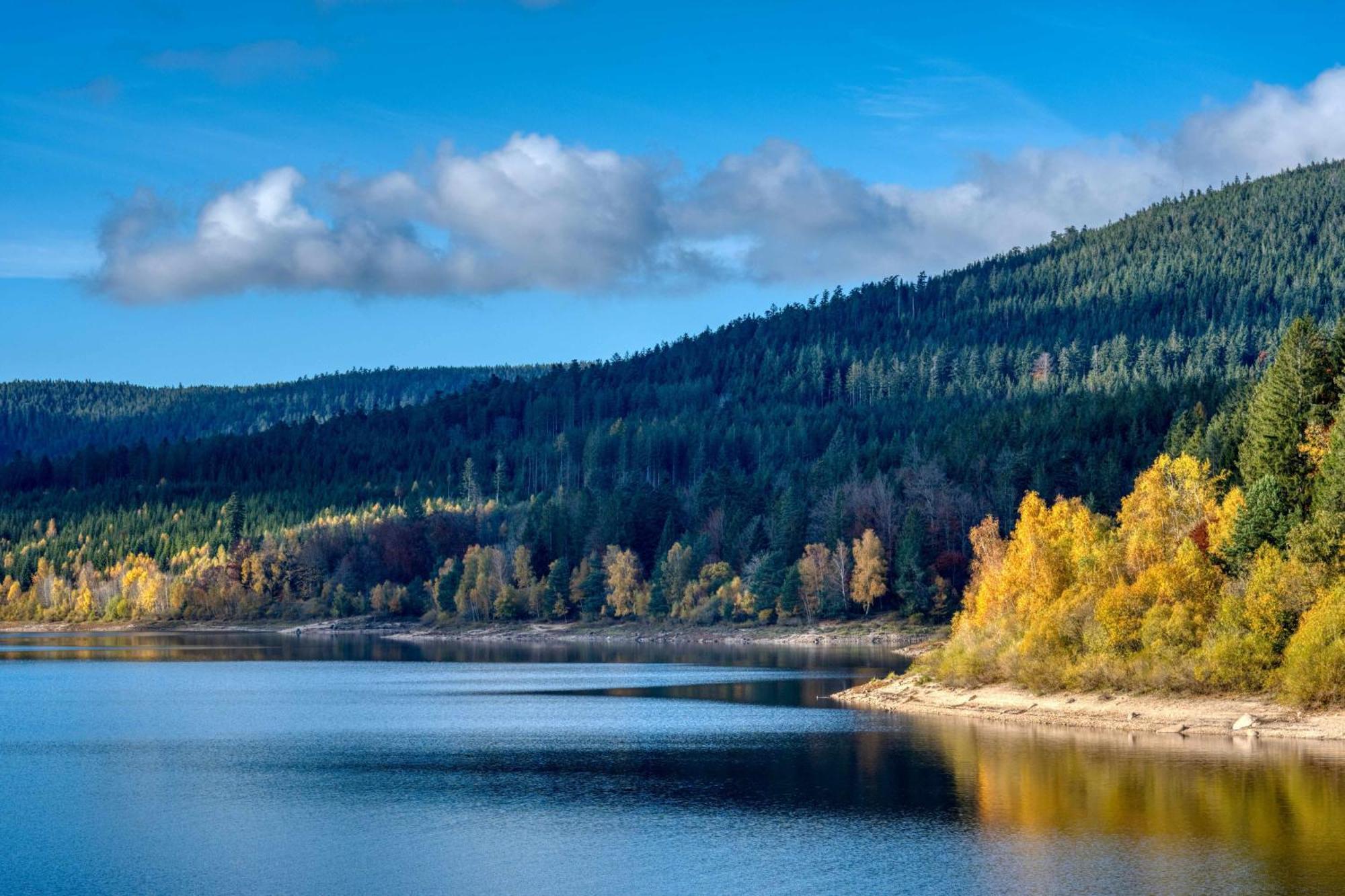 Zum Alten Waerterhaus Forbach Eksteriør billede
